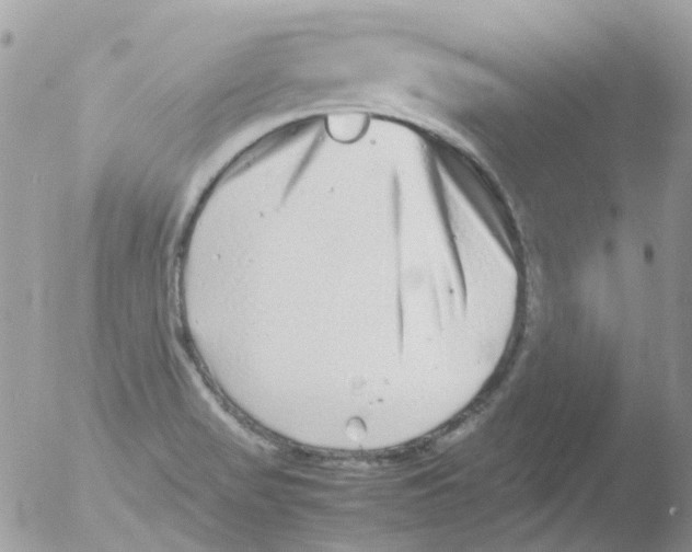 X0000051271517200507152228