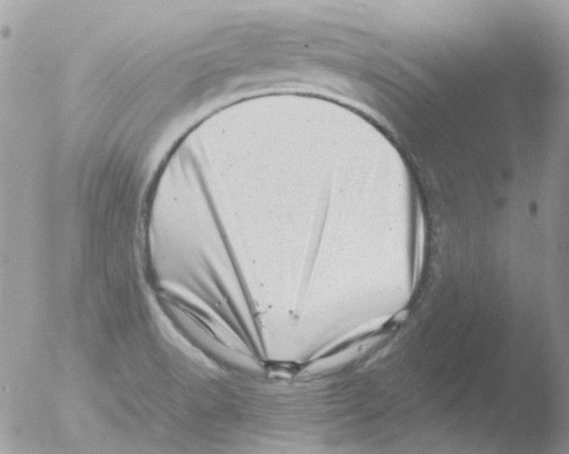 X0000051271518200507152228