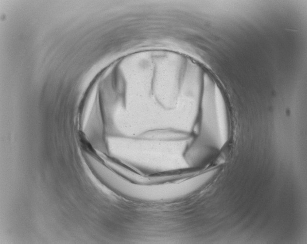 X0000051271519200507152228