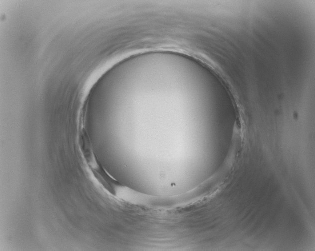 X0000051271520200507152228