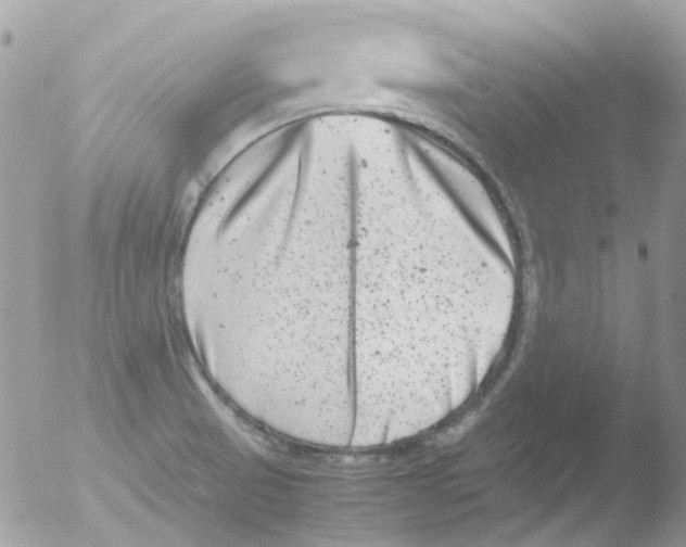 X0000051271521200507152228