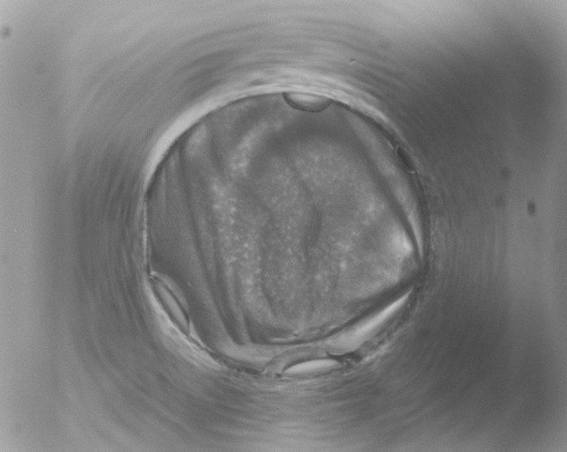 X0000051271522200507152228