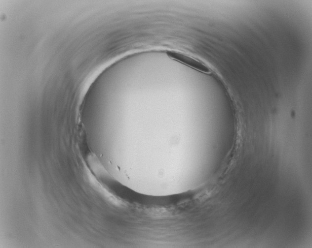 X0000051271524200507152228