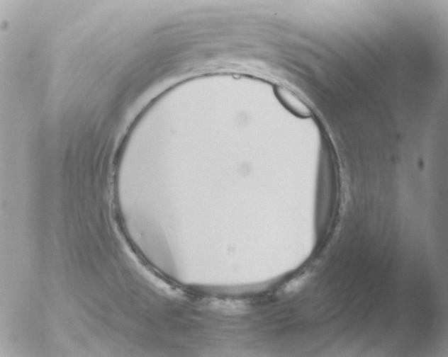 X0000051271525200507152228