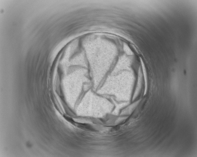 X0000051271527200507152228