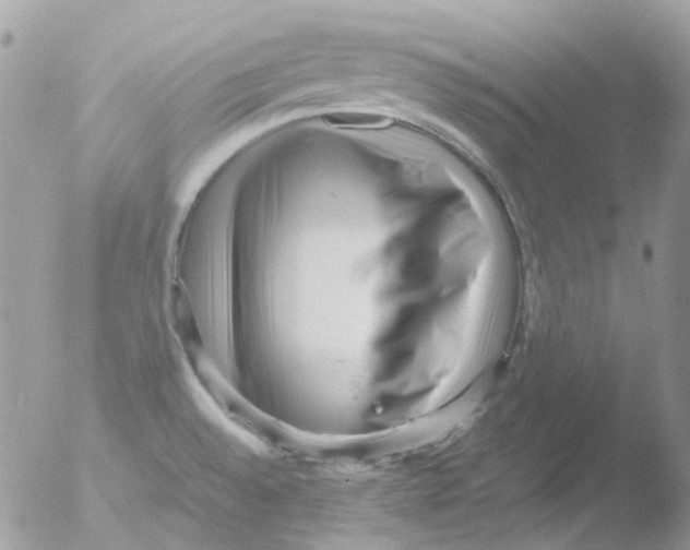 X0000051271528200507152228