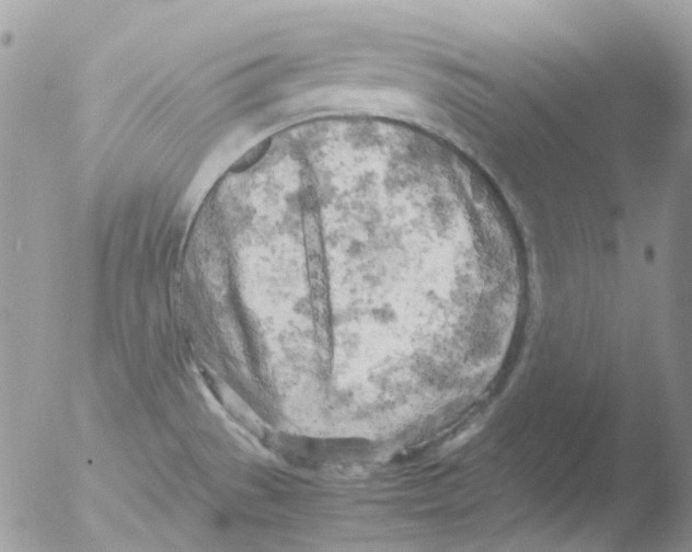 X0000051271529200507152228