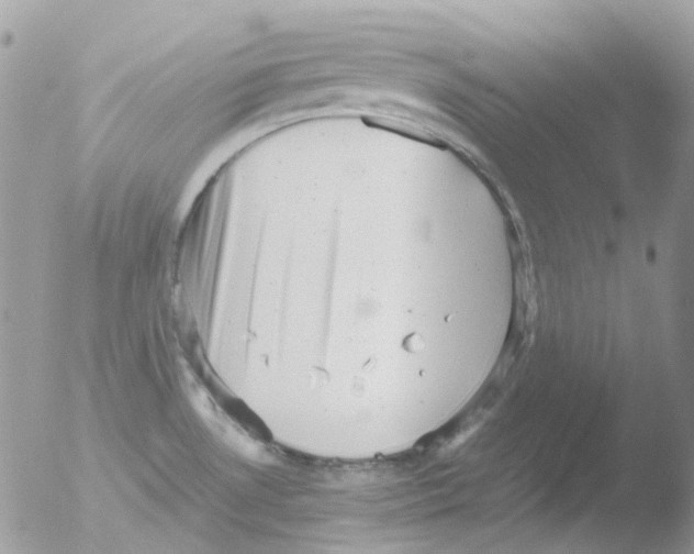 X0000051271530200507152228