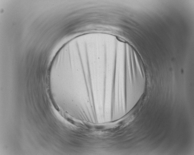 X0000051271531200507152228