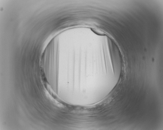 X0000051271532200507152229