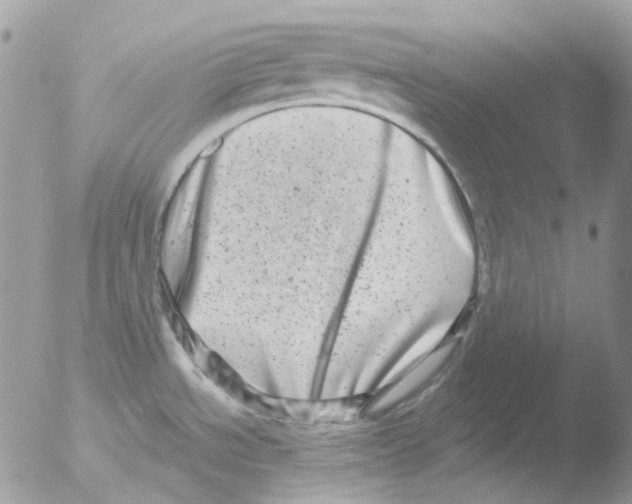 X0000051271534200507152229