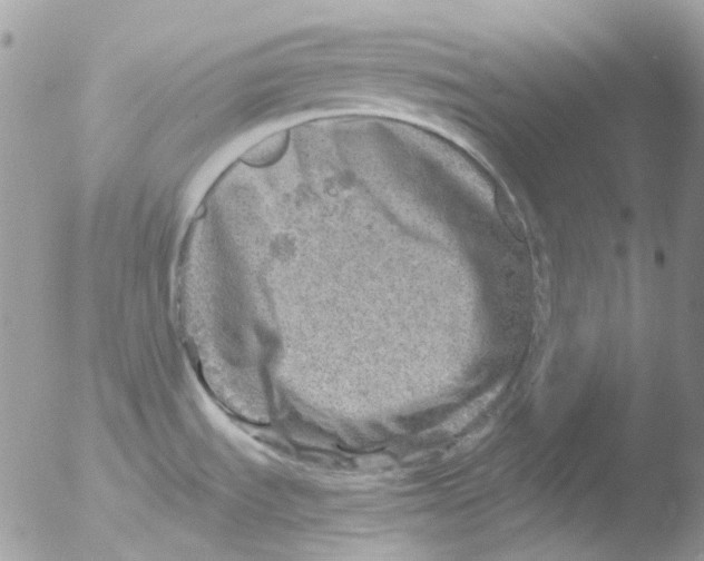 X0000051271535200507152229