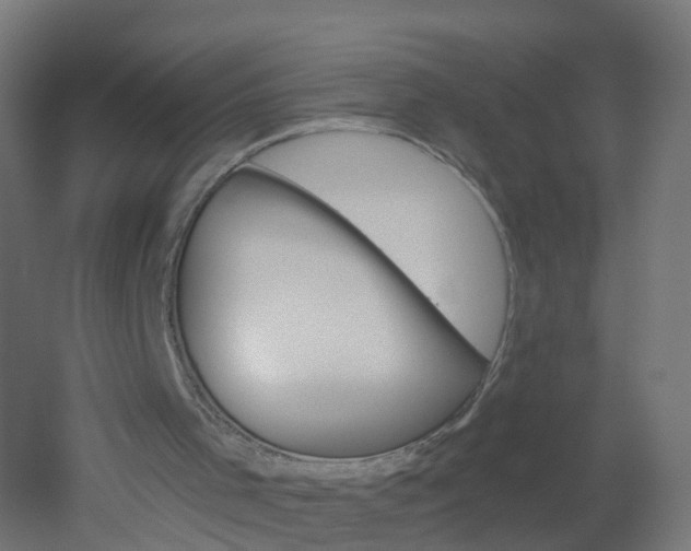 X0000051860001200506241014