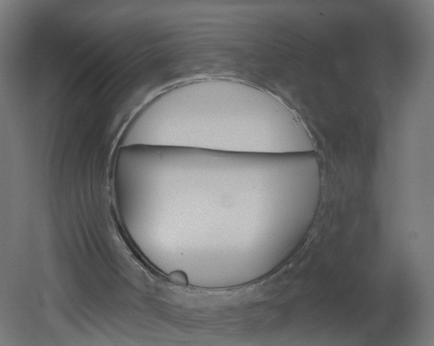 X0000051860002200506241014