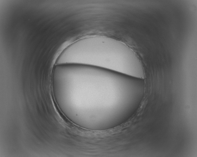 X0000051860003200506241014