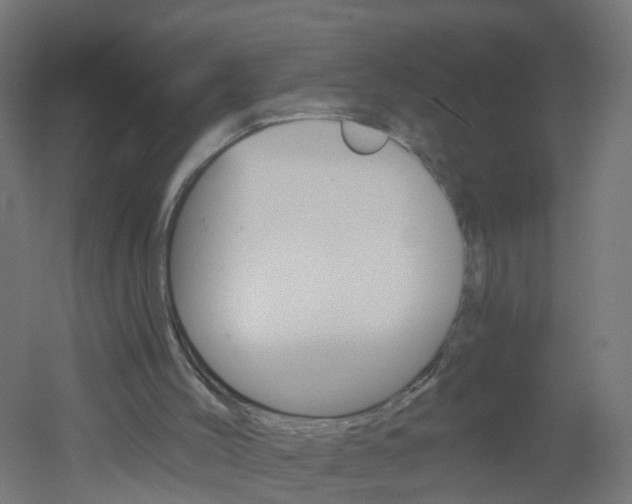 X0000051860004200506241014