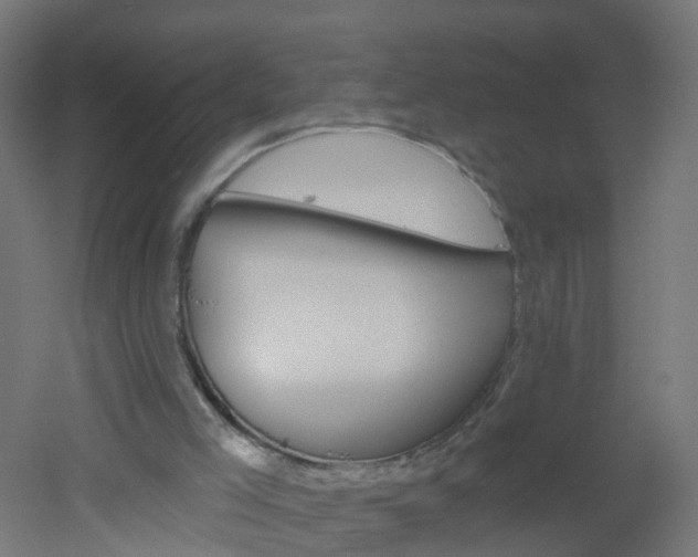 X0000051860005200506241014