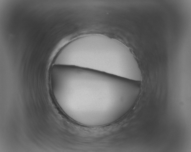 X0000051860006200506241014