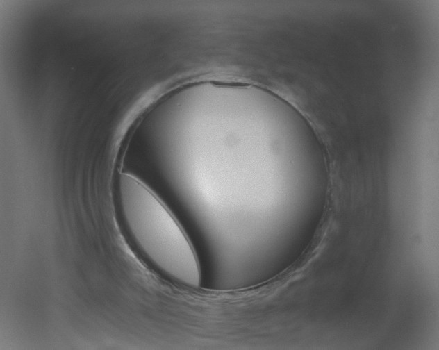 X0000051860007200506241014