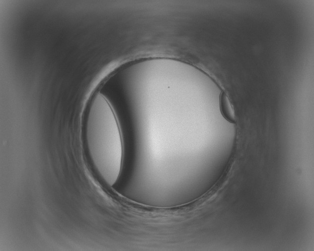 X0000051860008200506241014