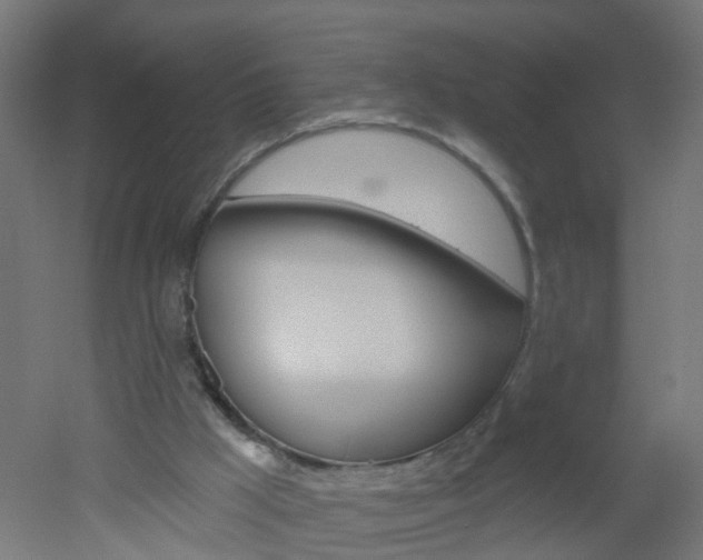 X0000051860009200506241014