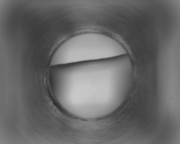 X0000051860010200506241014