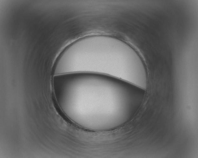 X0000051860011200506241014