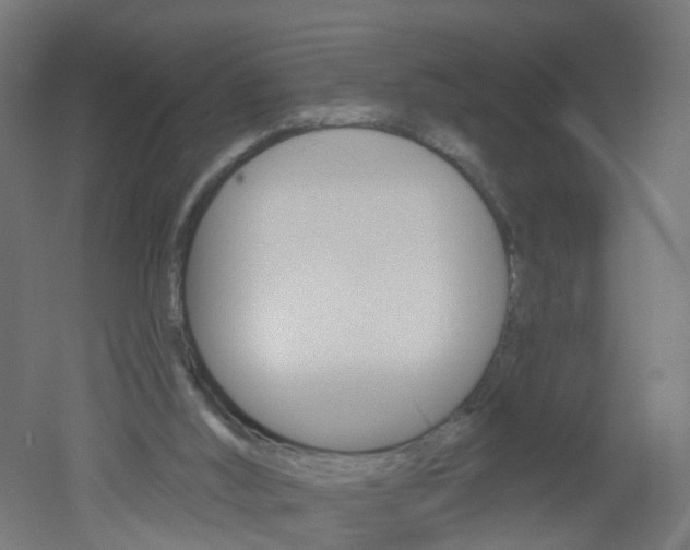 X0000051860012200506241014