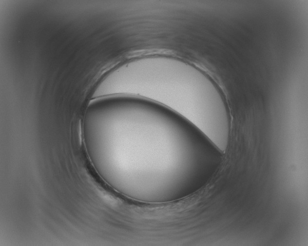 X0000051860013200506241014