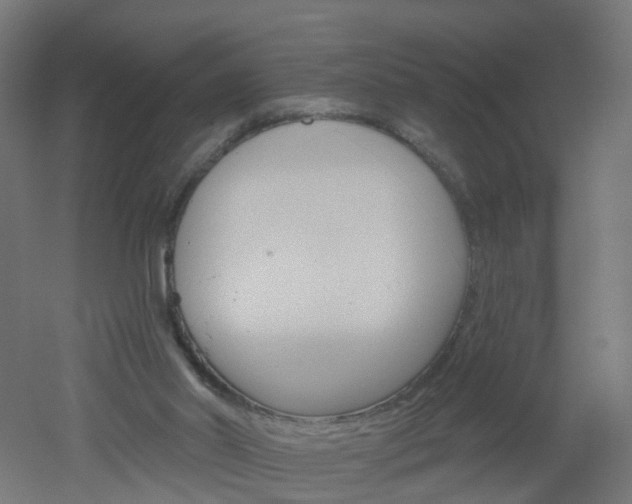 X0000051860014200506241014