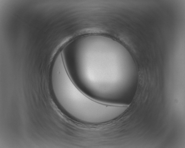 X0000051860015200506241014