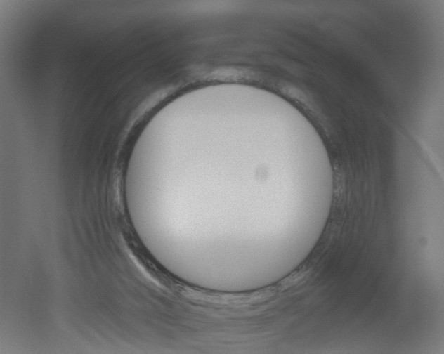 X0000051860016200506241014