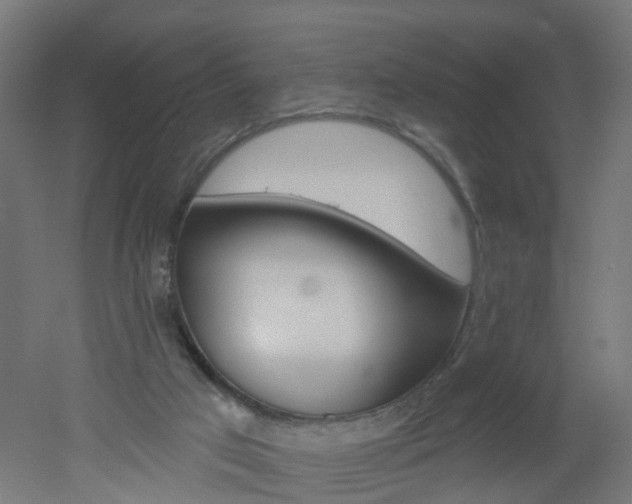 X0000051860017200506241014