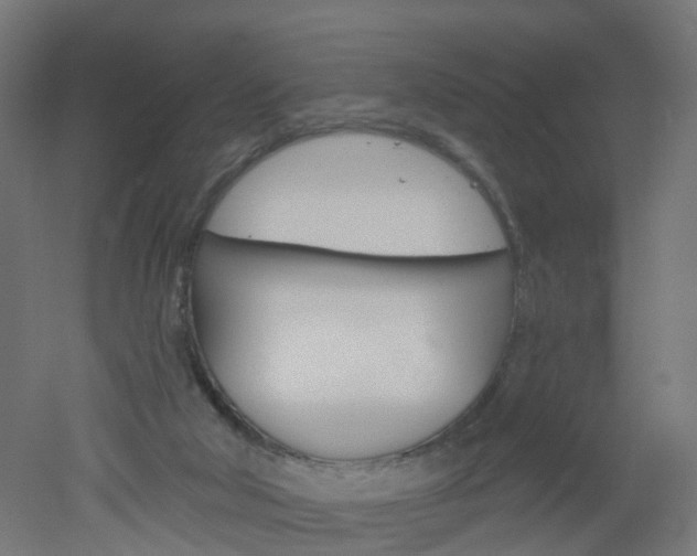 X0000051860018200506241014