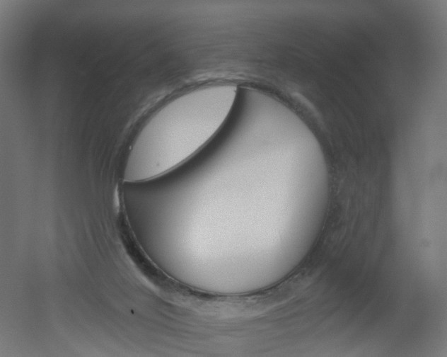 X0000051860020200506241014