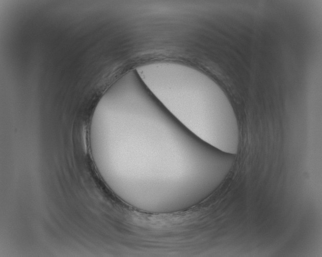 X0000051860022200506241014