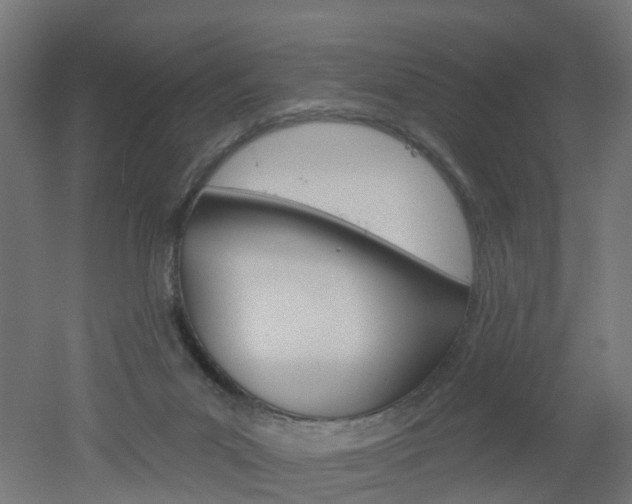 X0000051860023200506241014