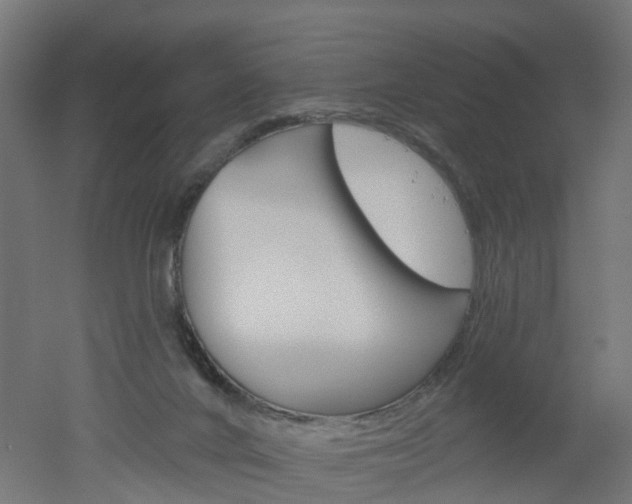 X0000051860024200506241014