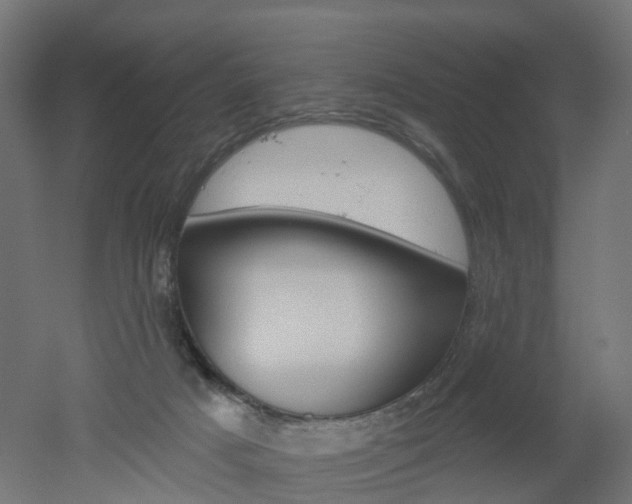 X0000051860025200506241014