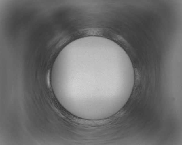 X0000051860028200506241014