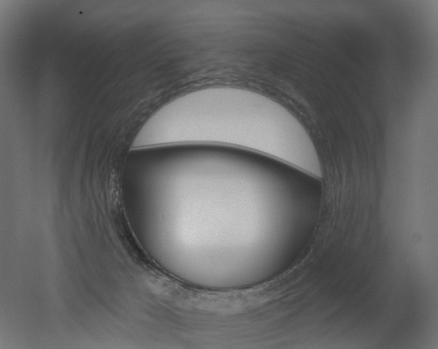 X0000051860029200506241014