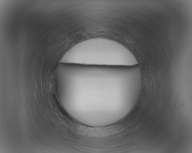 X0000051860030200506241014