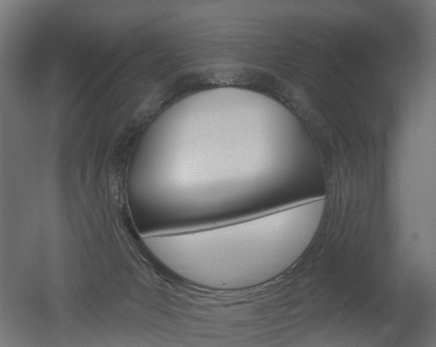 X0000051860031200506241014