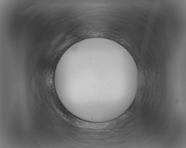 X0000051860032200506241014