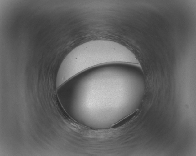 X0000051860033200506241014