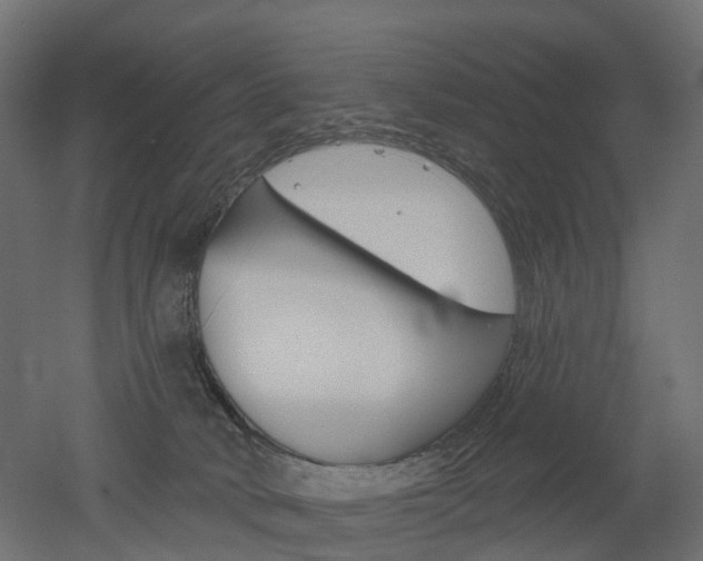 X0000051860034200506241014