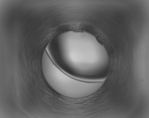 X0000051860035200506241014