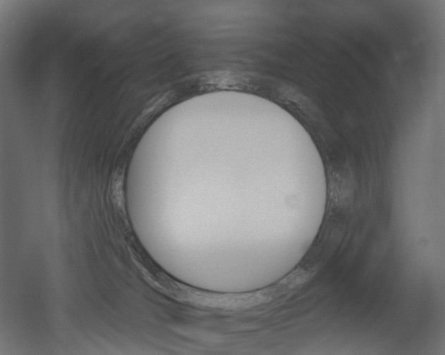 X0000051860036200506241014