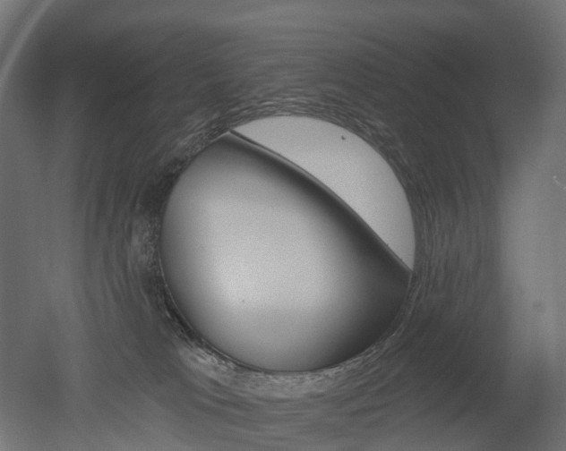 X0000051860037200506241014