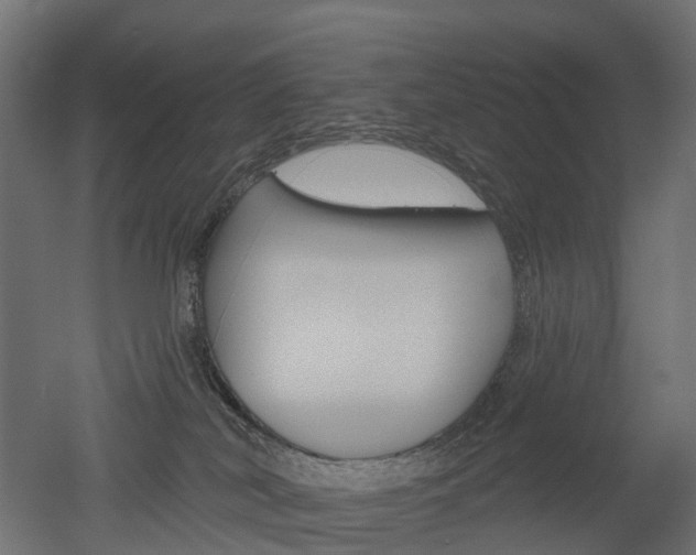 X0000051860038200506241014